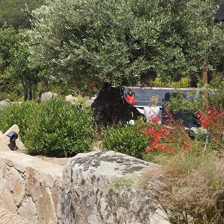 Maison d'hôtes Les Jardins De Santa Giulia - Charmante Dhte 2 3*