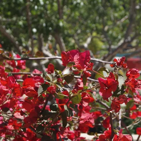 Гостевой дом Les Jardins De Santa Giulia - Charmante Dhte 2 Порто-Веккьо