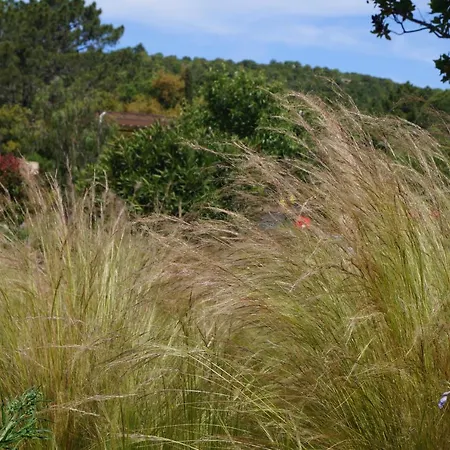 Гостьовий будинок Les Jardins De Santa Giulia - Charmante Dhte 2 Порто-Веккіо