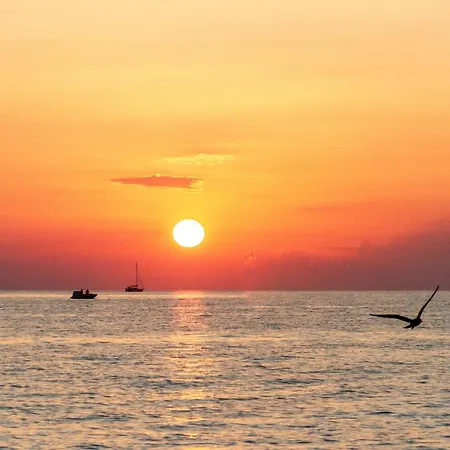 Гостьовий будинок Les Jardins De Santa Giulia - Charmante Dhte 2 3*