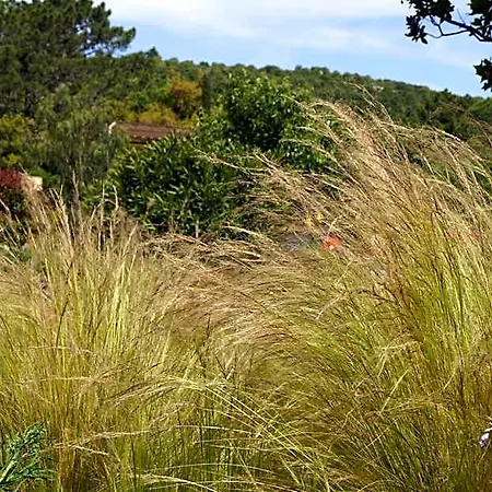 Les Jardins De Santa Giulia - Charmante Dhte 2 3* Porto-Vecchio (Corsica)