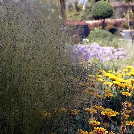 Les Jardins De Santa Giulia - Charmante Dhte 2 Porto-Vecchio (Corsica)
