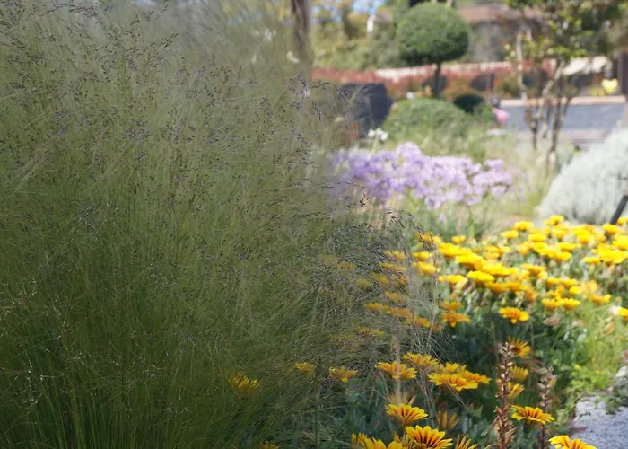 Les Jardins De Santa Giulia - Charmante Dhte 2 Порто-Веккіо